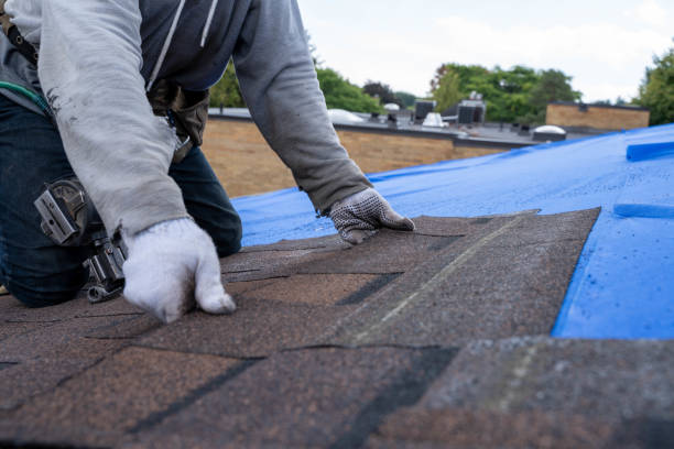 Best Shingle Roofing Installation  in Cochran, GA
